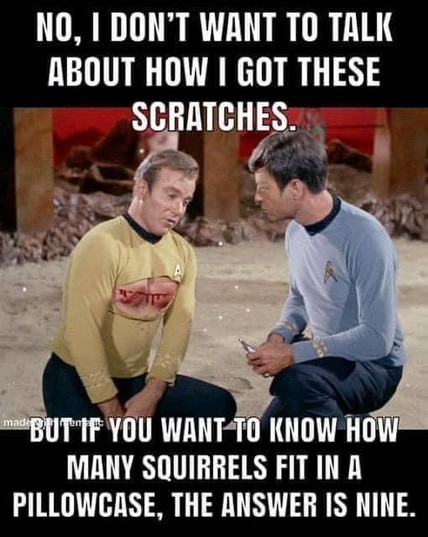 Kirk and McCoy sitting together. Kirk’s shirt is ripped open at the chest. He has a bloody scratch. 

Words: NO, I DON'T WANT TO TALK ABOUT HOW I GOT THESE SCRATCHES.
BUT IF YOU WANT TO KNOW HOW MANY SQUIRRELS FIT IN A PILLOWCASE, THE ANSWER IS NINE.