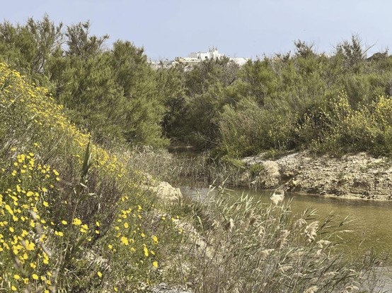 Give Mother Nature a voice - Why becoming a BirdLife Malta member matters now more than ever