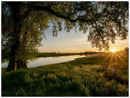 A tranquil riverside scene at sunset, featuring a large tree in the foreground. The river reflects the golden light, and the sky is adorned with soft clouds, creating a peaceful atmosphere. Grassy banks and wildflowers enhance the natural beauty of the setting