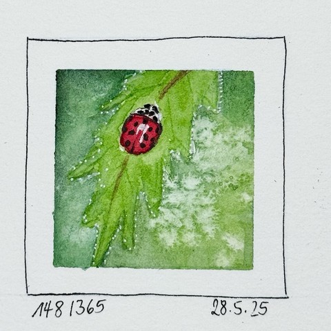Ein Aquarell eines Marienkäfers, der sich auf einem grünen Blatt ausruht, vor einem weichen grünen Hintergrund. Das Kunstwerk weist sanfte Schattierungen und Details auf, einschließlich Wassertropfen auf dem Blatt.
