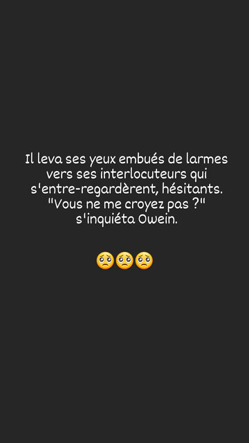 Il leva ses yeux embués de larmes vers ses interlocuteurs qui s'entre-regardèrent, hésitants. "Vous ne me croyez pas ?" s'inquiéta Owein. 