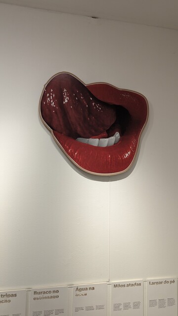 A pop art art exhibition of a tongue licking the upper lips