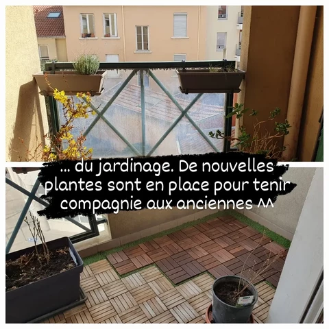 ... du jardinage. De nouvelles plantes sont en place pour tenir compagnie aux anciennes.